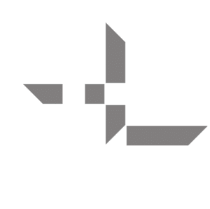 Logo DV BLANCO